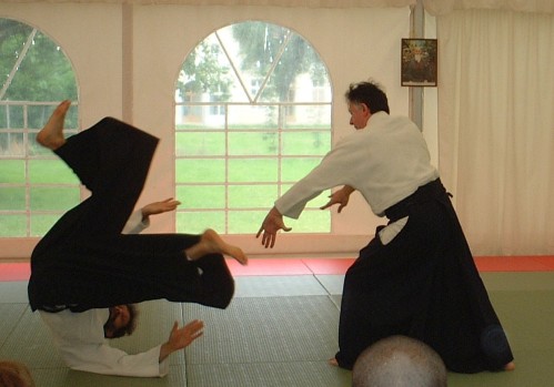 Passioni - Aikido